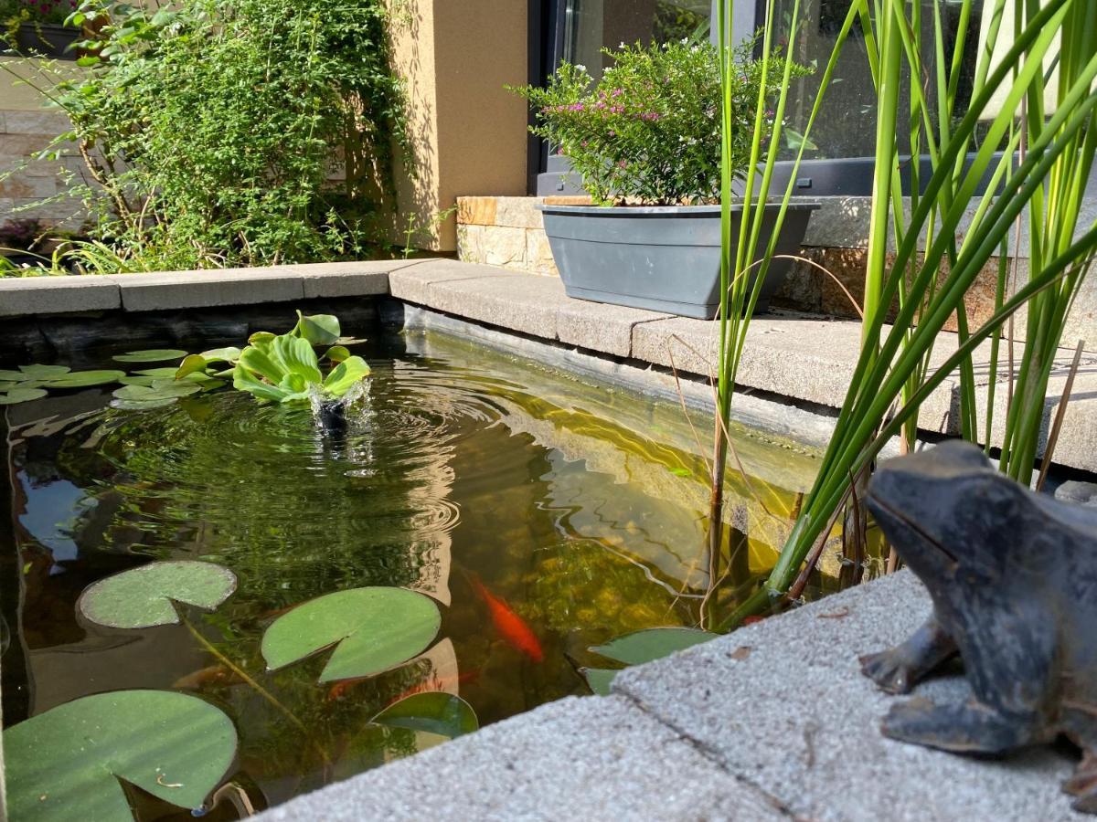 Margareta Garden Boutique Rooms 埃格尔 外观 照片