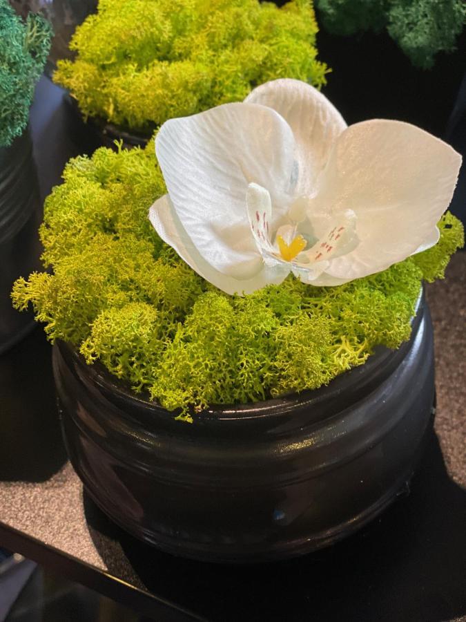 Margareta Garden Boutique Rooms 埃格尔 外观 照片