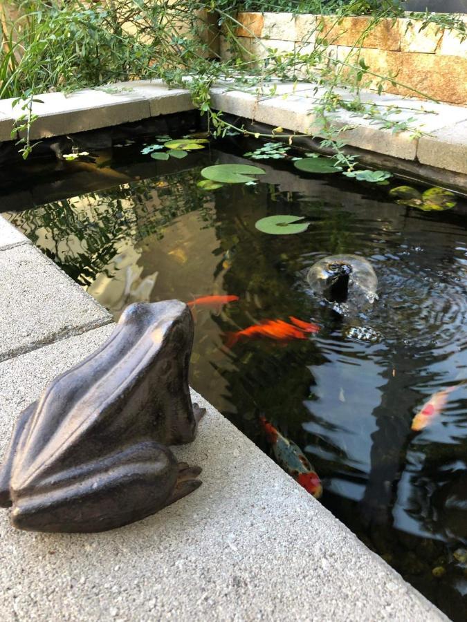 Margareta Garden Boutique Rooms 埃格尔 外观 照片